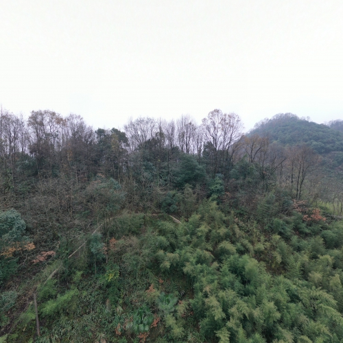 芜湖工务段皖赣线隧道口VR